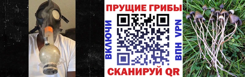 Купить  Лысьва  Галлюциногенные грибы Magic Shrooms 